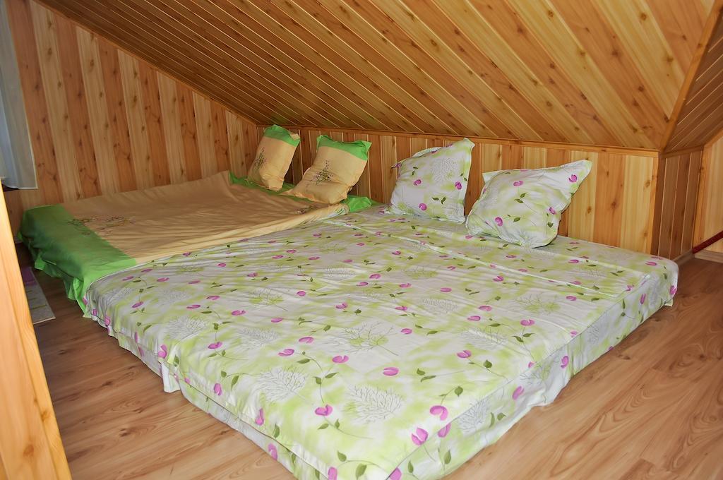 Casa Lidia Ξενοδοχείο Lepşa Δωμάτιο φωτογραφία